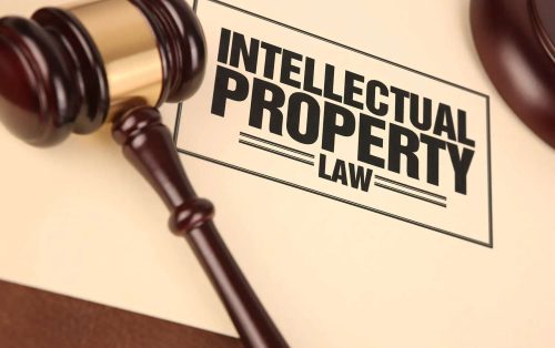 专利与知识产权法